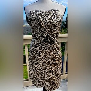 Snap-Cheetah print-Juniors dress-Sz 5